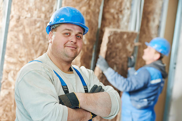 Best Insulation Removal  in Beacon Square, FL